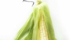 corn dress