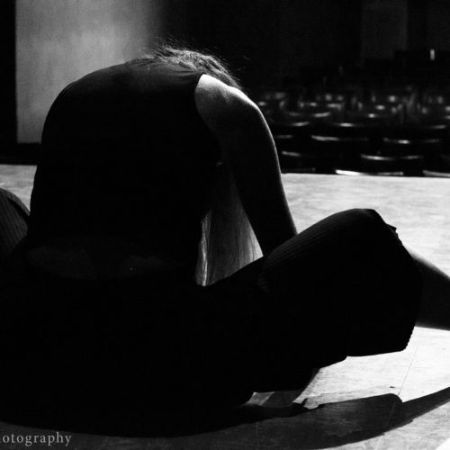 anima movens dance group